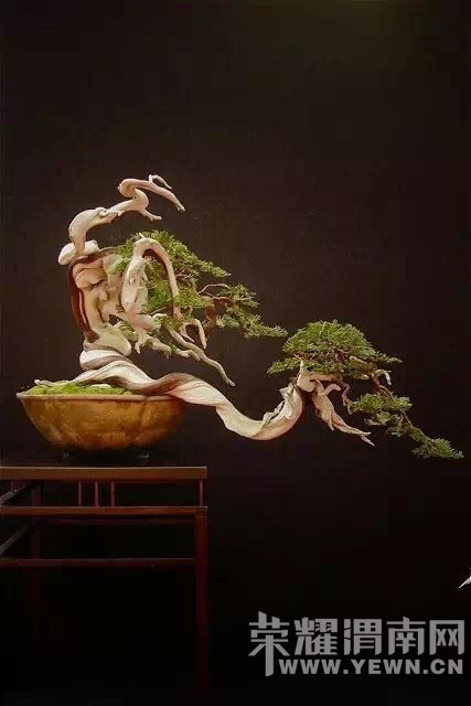 ����Ļ������Ե�ʫ!������ˮ����������˵�ľ��������