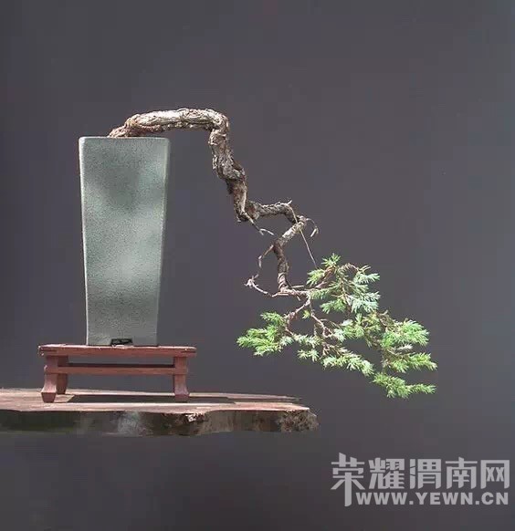 ����Ļ������Ե�ʫ!������ˮ����������˵�ľ��������