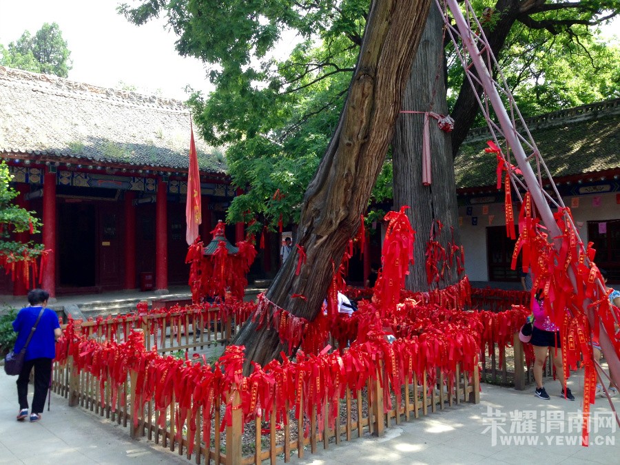 �ٻ�ɽ����ջ��