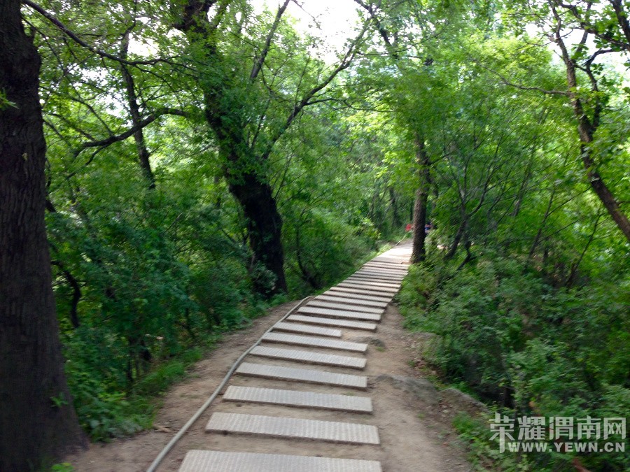 �ٻ�ɽ����ջ��