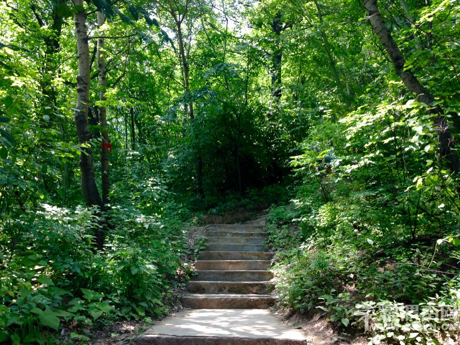 �ٻ�ɽ����ջ��