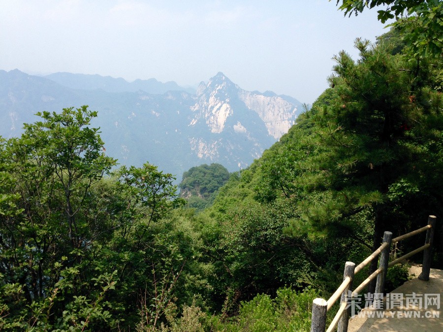 �ٻ�ɽ����ջ��