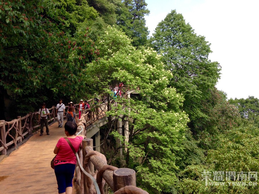 RE: �ٻ�ɽ����ջ��