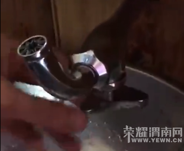 ���߹����·���������·...���Ǹ��й��µ����ʦ��