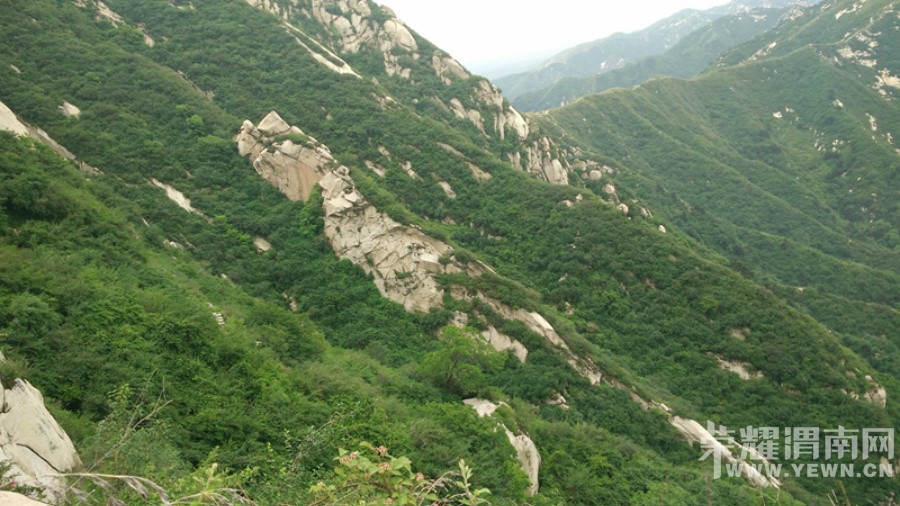 ����Ͽ�鱦����ɽ�μ�