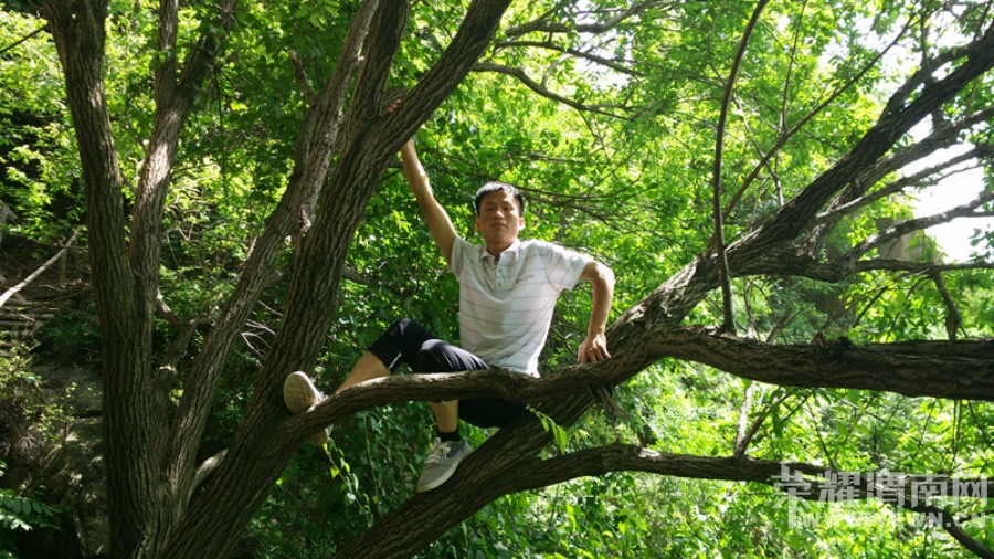 ����Ͽ�鱦����ɽ�μ�