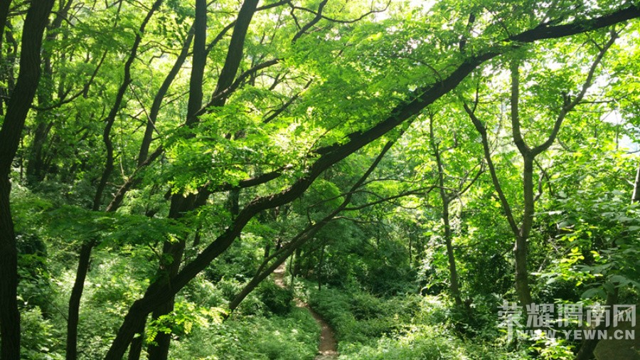 ����Ͽ�鱦����ɽ�μ�