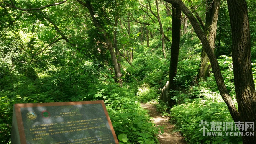 ����Ͽ�鱦����ɽ�μ�