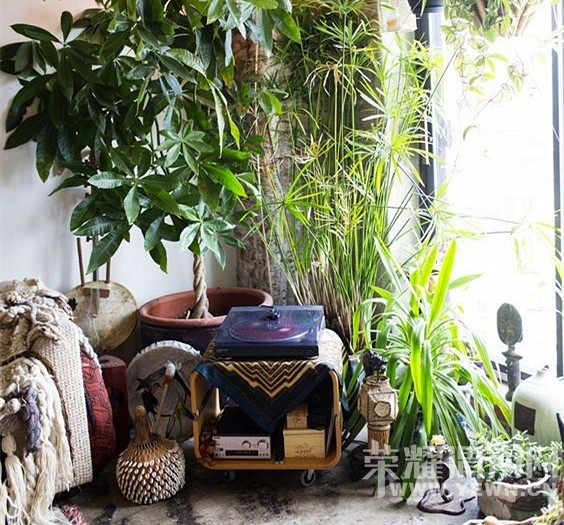 ��˵���ȵ�˯���ã���˵������Ⱦ̫�������ѣ���˵��������������ͺ�