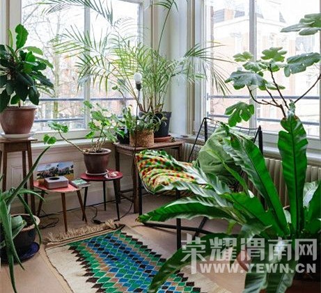 ��˵���ȵ�˯���ã���˵������Ⱦ̫�������ѣ���˵��������������ͺ�