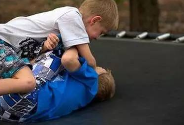 ������С֪ʶ���������׶�԰���۸��� ��Ϊ��һ����֪��