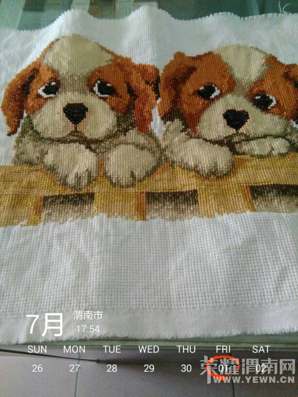 �ҵ�ʮ����ɹ��ˣ�����Ϊʲô����˵��è�أ�