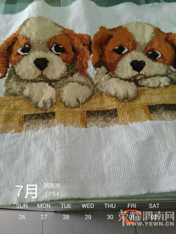 �ҵ�ʮ����ɹ��ˣ�����Ϊʲô����˵��è�أ�