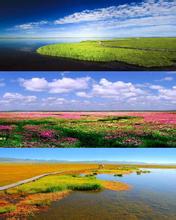 ��μ�ϸ�̽�Ż��⡿7.23-30���ɽ���ຣ���������¡��������¡���������կ��������...