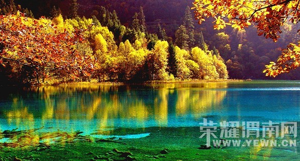 ��μ�ϸ�̽�Ż��⡿7.23-30���ɽ���ຣ���������¡��������¡���������կ��������...