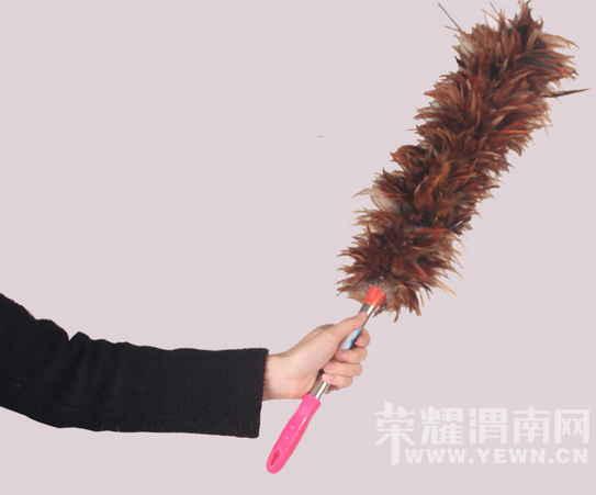 ������С֪ʶ��μ�ϵ������޵�ʮ���������㰤��������