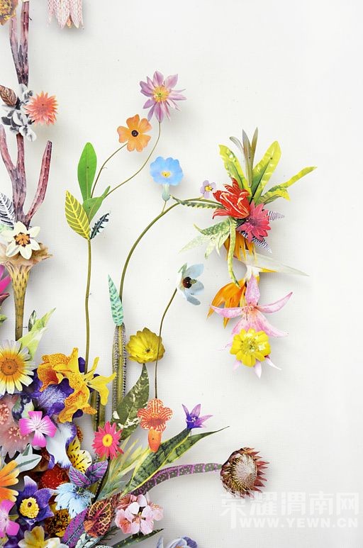 ��������һ�����ػ�԰�������е����붼��ʵ�֣�