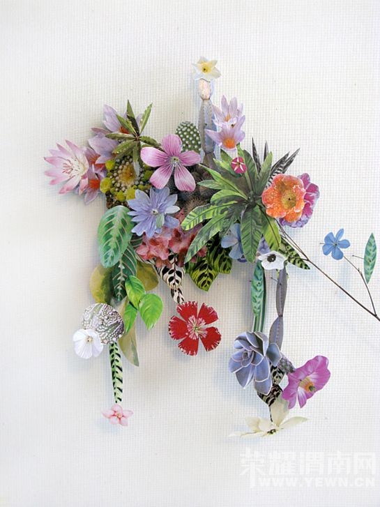 ��������һ�����ػ�԰�������е����붼��ʵ�֣�