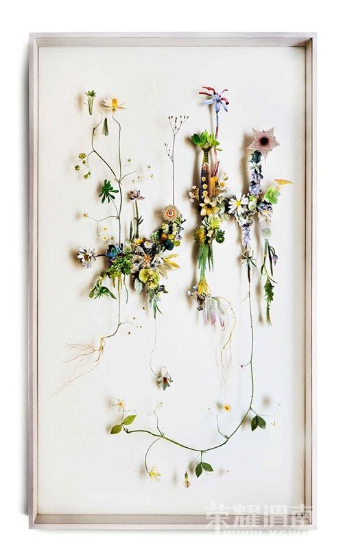 ��������һ�����ػ�԰�������е����붼��ʵ�֣�