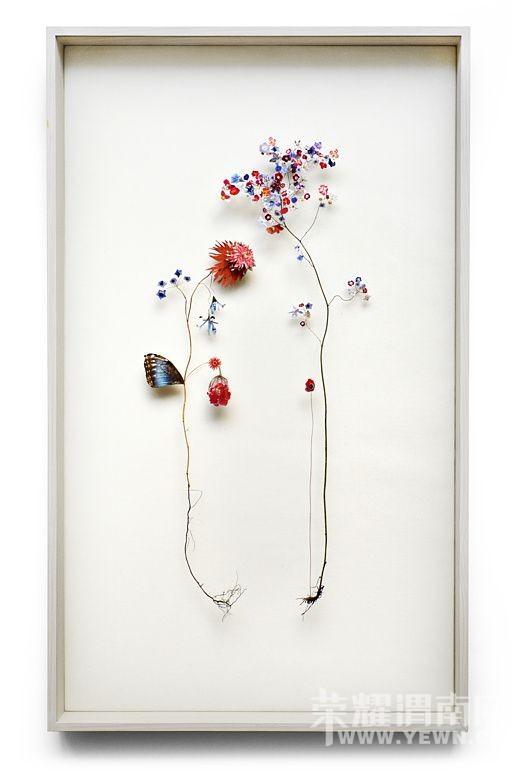 ��������һ�����ػ�԰�������е����붼��ʵ�֣�