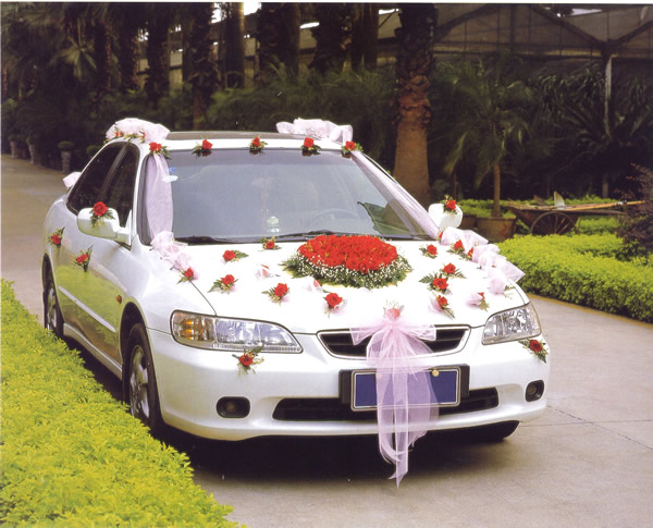 �������ѡ��鳵�ļ���С����