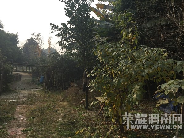 ũ��Ķ�Ժ���������������3�׷��Ҷ�������������������