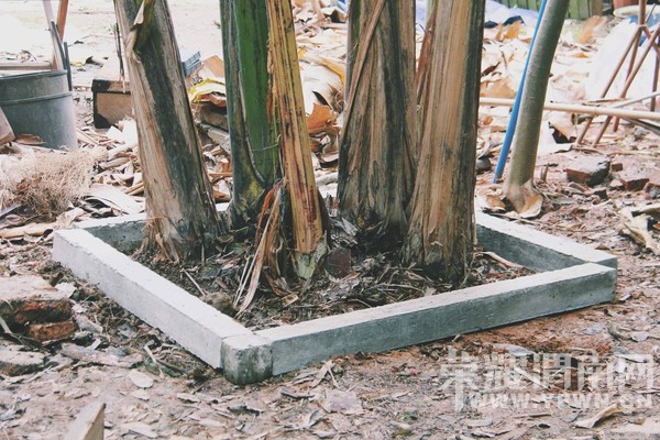 ũ��Ķ�Ժ���������������3�׷��Ҷ�������������������