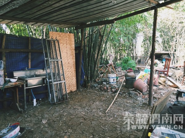 ũ��Ķ�Ժ���������������3�׷��Ҷ�������������������