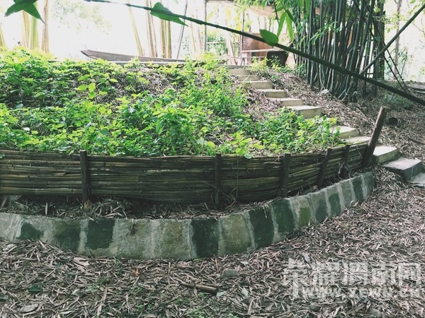 ũ��Ķ�Ժ���������������3�׷��Ҷ�������������������