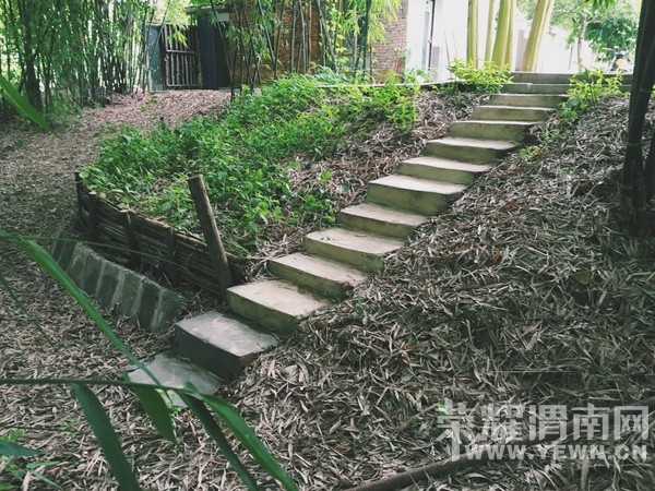 ũ��Ķ�Ժ���������������3�׷��Ҷ�������������������