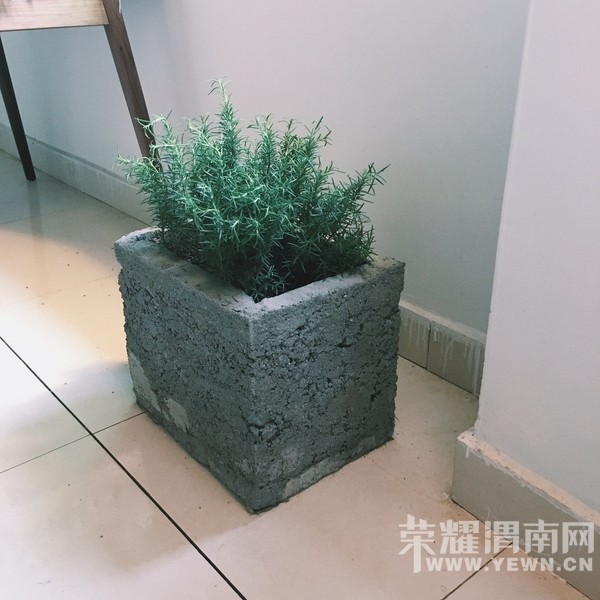 ũ��Ķ�Ժ���������������3�׷��Ҷ�������������������