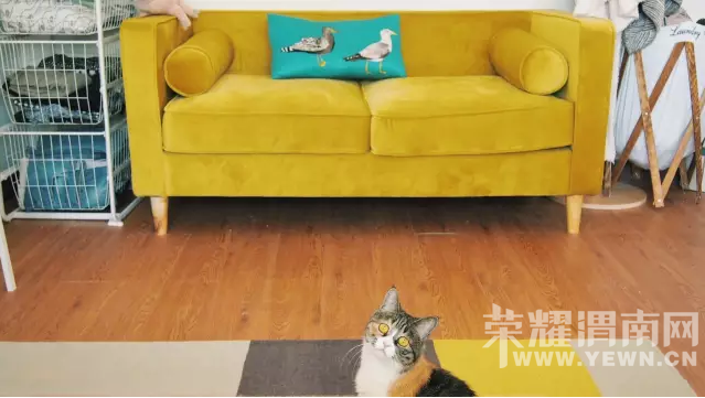 ��2000Ԫ���ָ������С���ң��ò˵���ש��400Ԫ�㶨15�Oľ�ذ壡���ˣ�