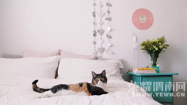 ��2000Ԫ���ָ������С���ң��ò˵���ש��400Ԫ�㶨15�Oľ�ذ壡���ˣ�