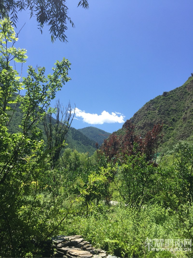 ����ķ羰����ô����