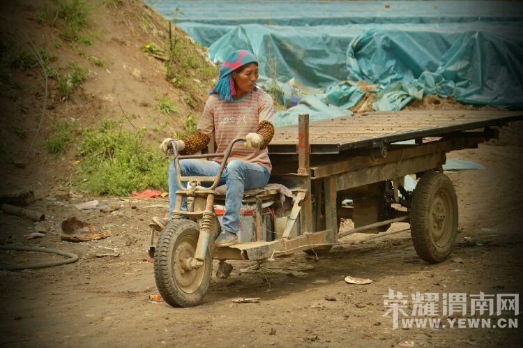 ��ܽ��ͼ�ļ�¼������μ����ԭש��Ҥ�����庢���ǡ���