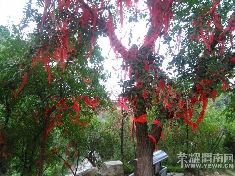 ����֮һ�Ļ�ɽ