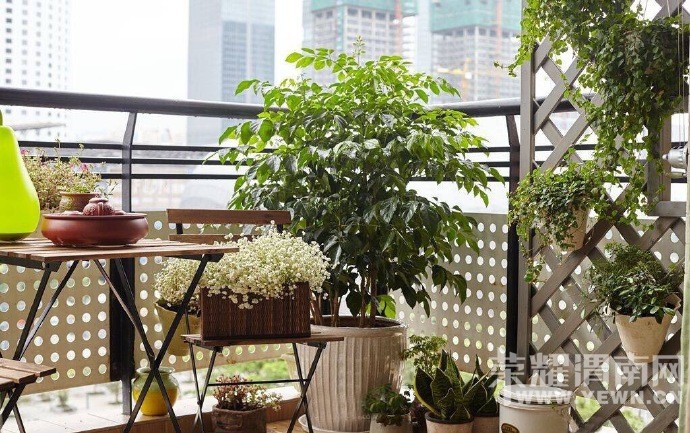 �Ҿͼ����Ƽ�����һ�������ɣ�С����