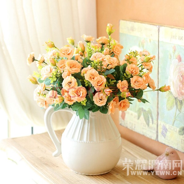 ���ҵ���ܰС������������Ļ������̣��ɺã�