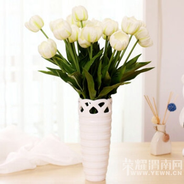 ���ҵ���ܰС������������Ļ������̣��ɺã�