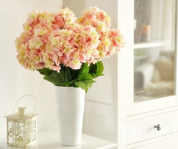 ���ҵ���ܰС������������Ļ������̣��ɺã�