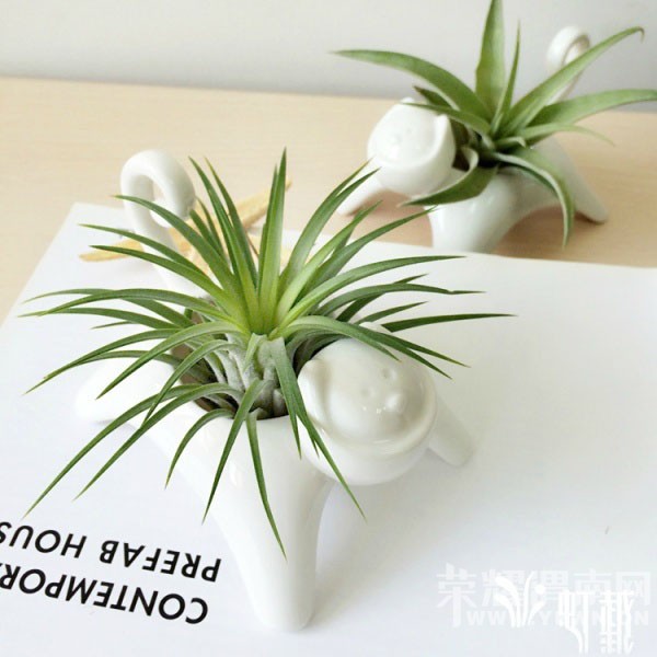 ������ֲ���������ֻ��������ˮ�����ֹ��������