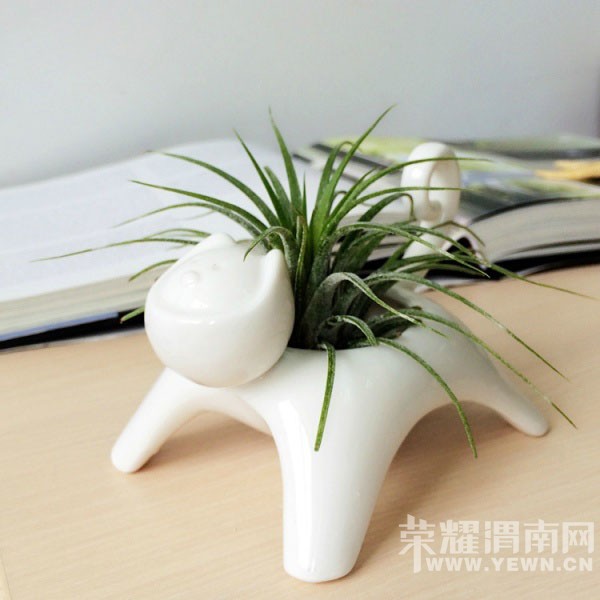 ������ֲ���������ֻ��������ˮ�����ֹ��������