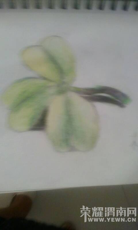 Сƨ������