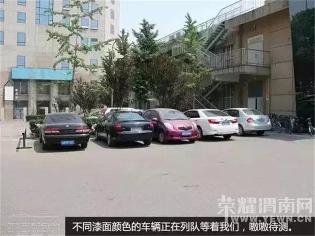 μ�ϱ�ذ�ɫ�����������İ�ɫ����ɫ�ĸ��������أ�