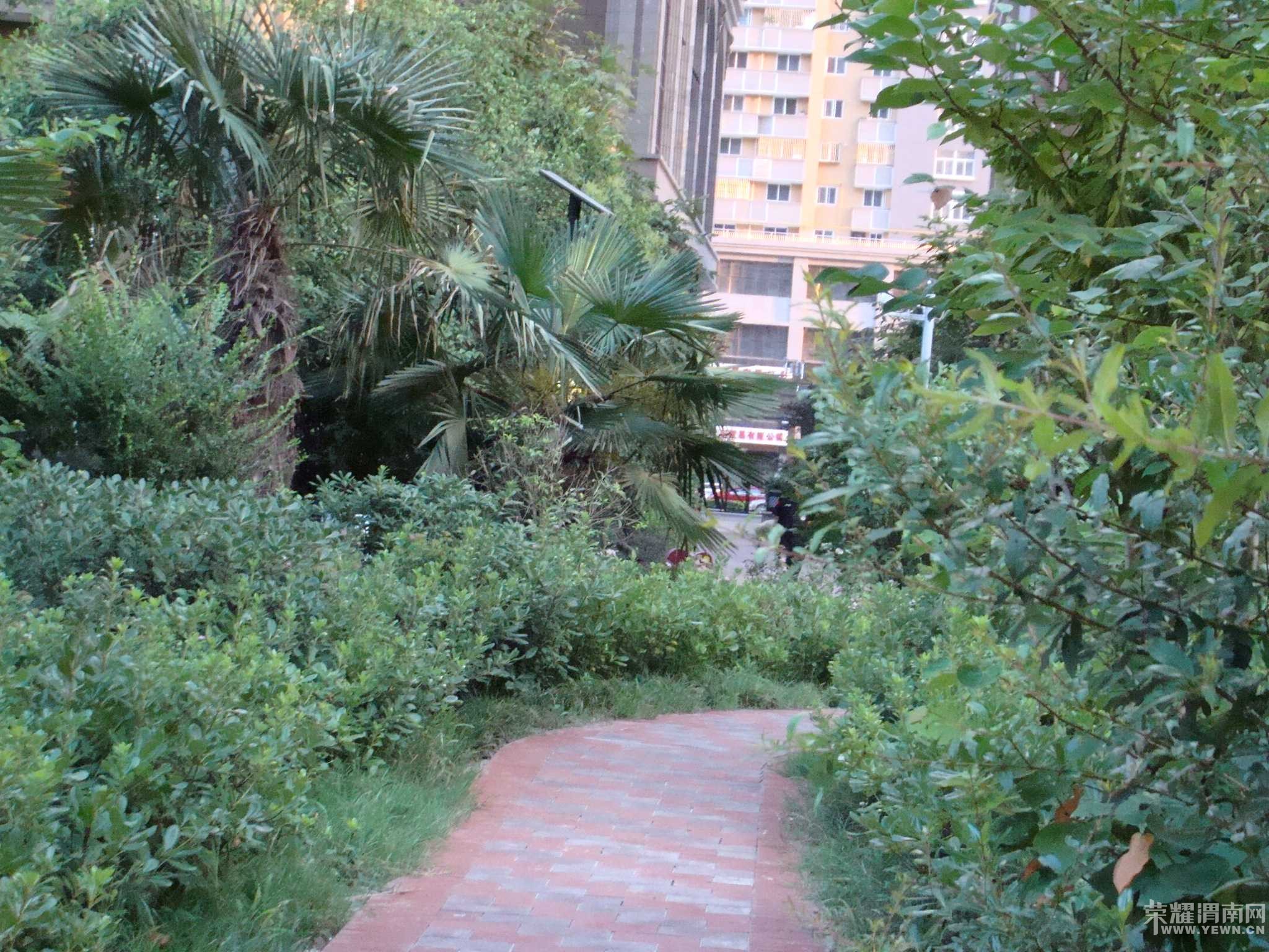 ���˳Ǻ���������װ�޵��¼�