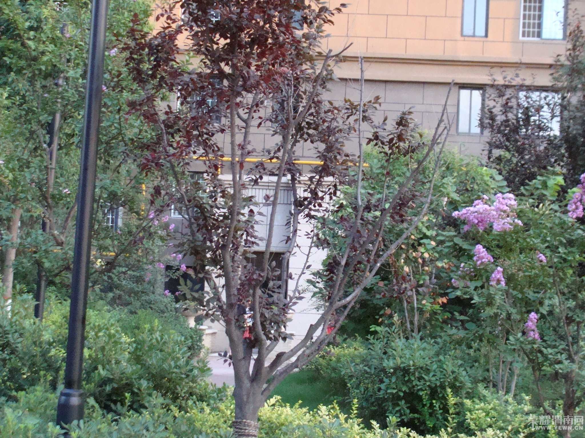 ���˳Ǻ���������װ�޵��¼�