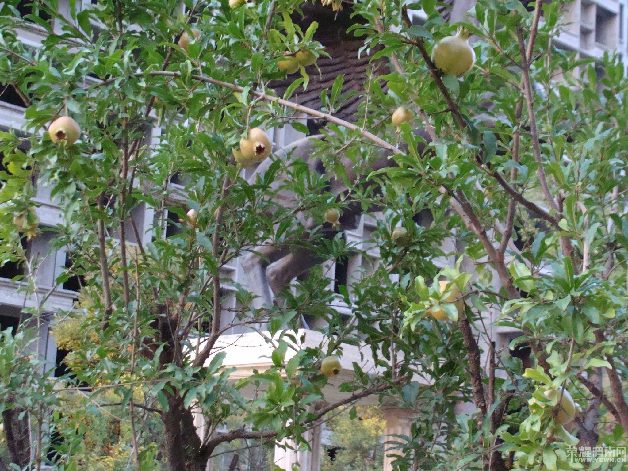 ���˳Ǻ���������װ�޵��¼�