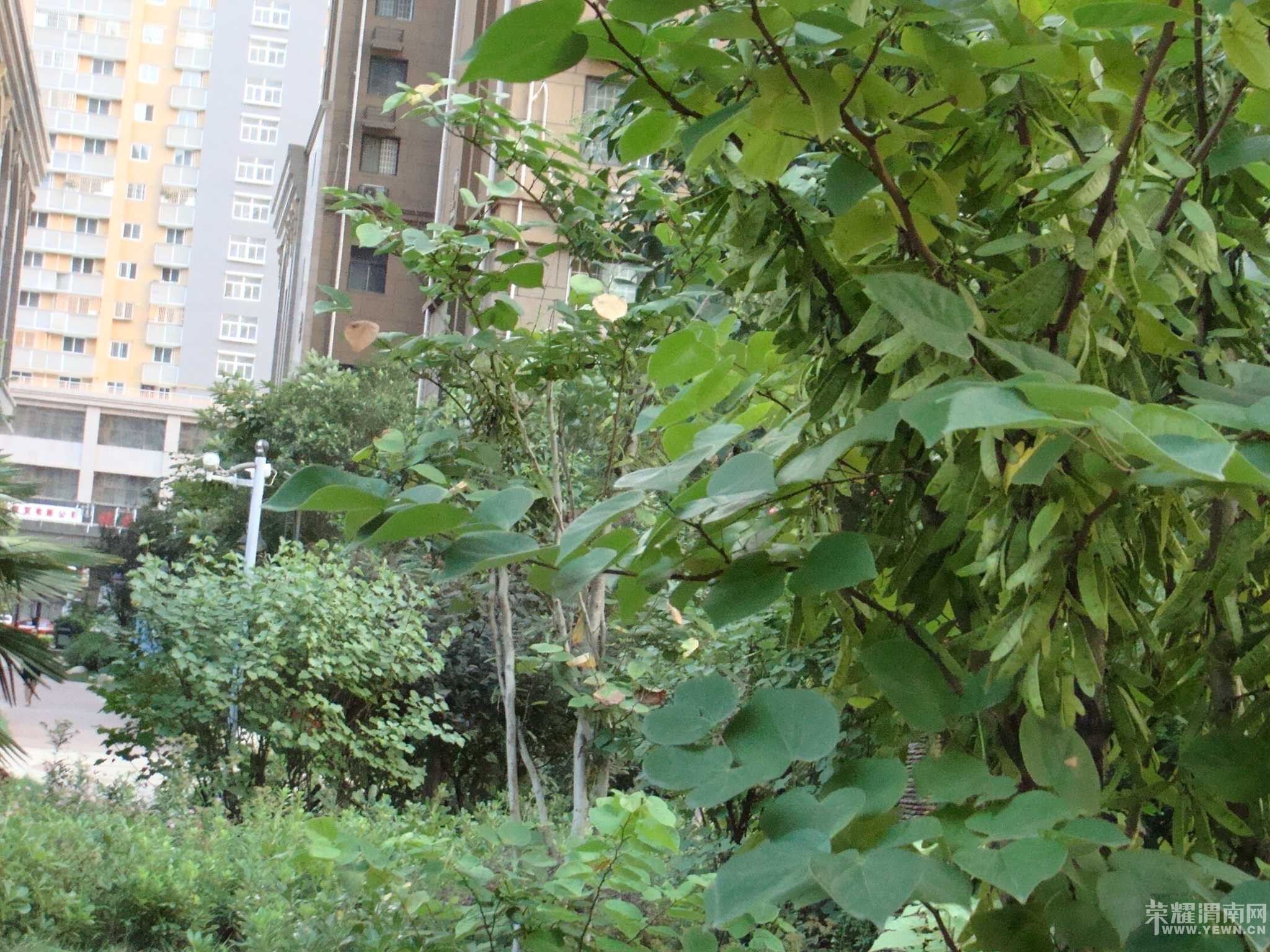 ���˳Ǻ���������װ�޵��¼�