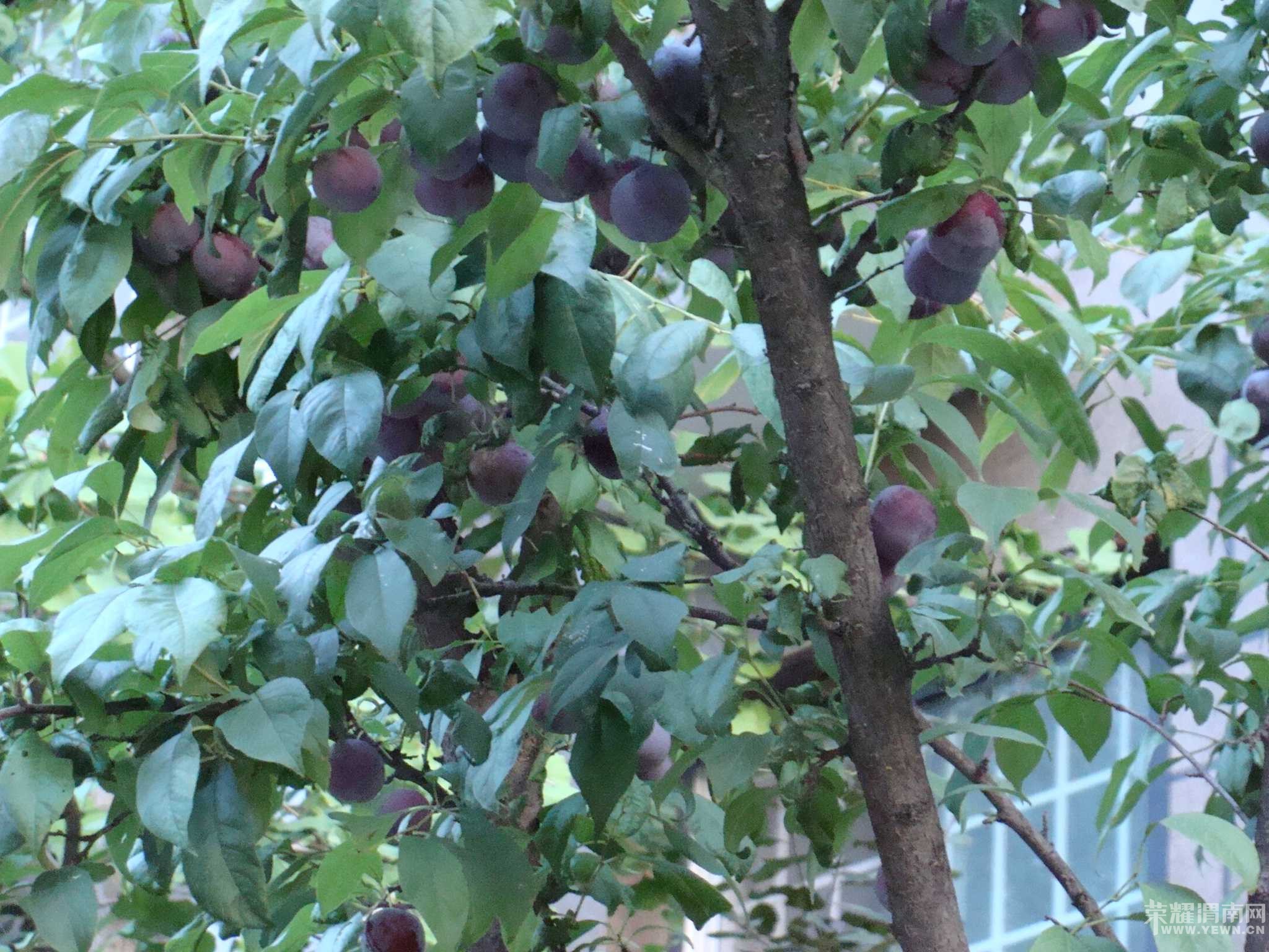 ���˳Ǻ���������װ�޵��¼�