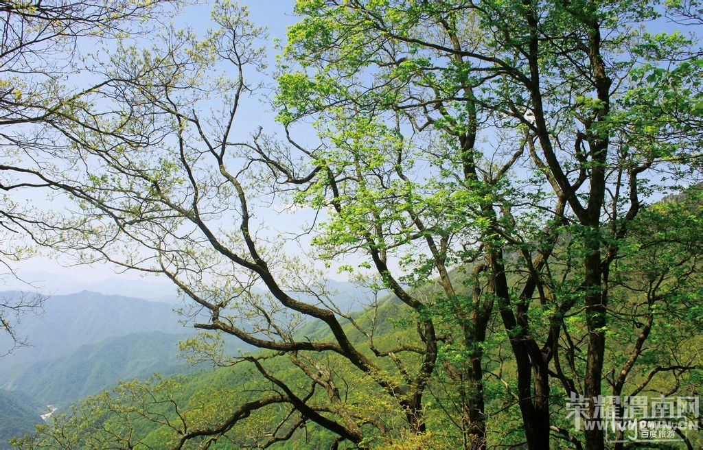 ��μ�ϸ��»��⡿8��7�գ����գ���ˮţ����һ����